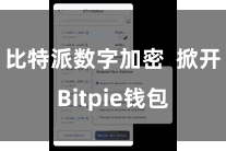 比特派数字加密 掀开Bitpie钱包
