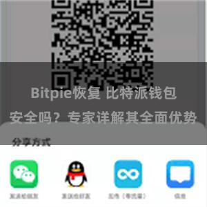 Bitpie恢复 比特派钱包安全吗？专家详解其全面优势