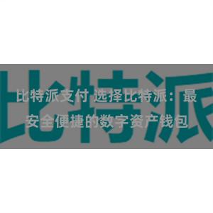 比特派支付 选择比特派：最安全便捷的数字资产钱包