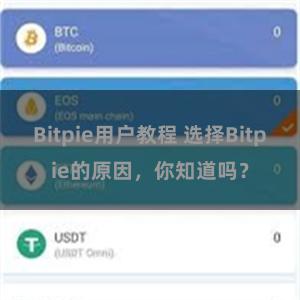 Bitpie用户教程 选择Bitpie的原因，你知道吗？