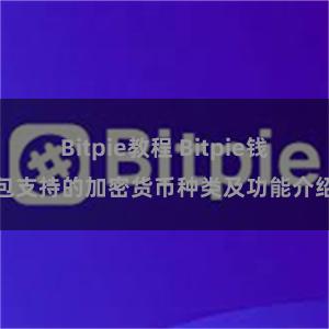 Bitpie教程 Bitpie钱包支持的加密货币种类及功能介绍