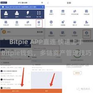 Bitpie APP直连 快速上手Bitpie钱包，多链资产管理技巧