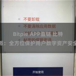 Bitpie APP直链 比特派：全方位保护用户数字资产安全