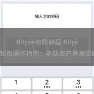 Bitpie转账教程 Bitpie钱包操作指南：多链资产管理攻略