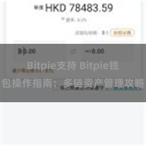 Bitpie支持 Bitpie钱包操作指南：多链资产管理攻略