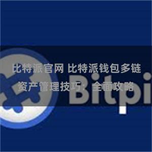 比特派官网 比特派钱包多链资产管理技巧：全面攻略