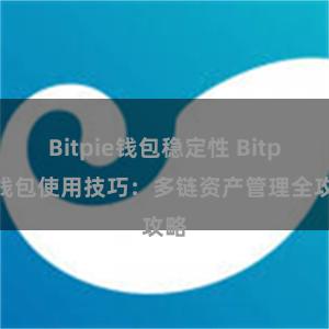 Bitpie钱包稳定性 Bitpie钱包使用技巧：多链资产管理全攻略