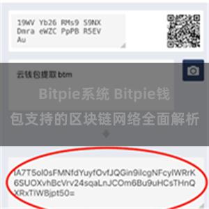 Bitpie系统 Bitpie钱包支持的区块链网络全面解析