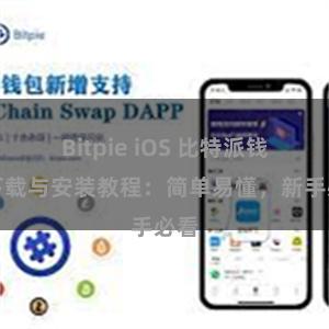 Bitpie iOS 比特派钱包下载与安装教程：简单易懂，新手必看