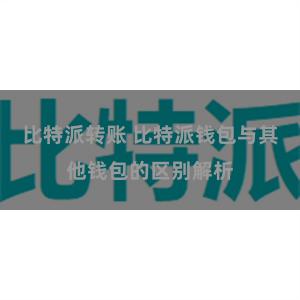 比特派转账 比特派钱包与其他钱包的区别解析