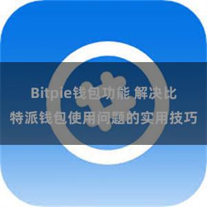 Bitpie钱包功能 解决比特派钱包使用问题的实用技巧