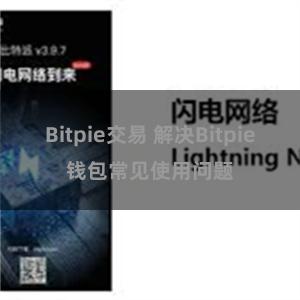 Bitpie交易 解决Bitpie钱包常见使用问题