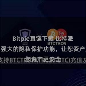 Bitpie直链下载 比特派钱包：强大的隐私保护功能，让您资产更安全