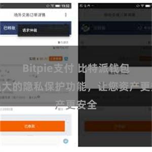 Bitpie支付 比特派钱包：强大的隐私保护功能，让您资产更安全