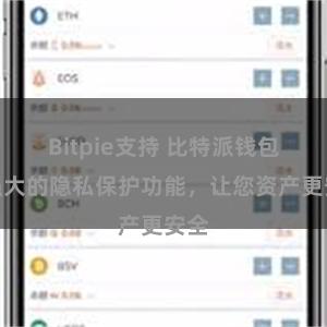 Bitpie支持 比特派钱包：强大的隐私保护功能，让您资产更安全