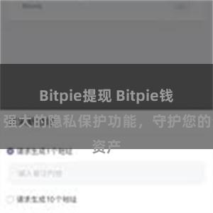 Bitpie提现 Bitpie钱包：强大的隐私保护功能，守护您的资产