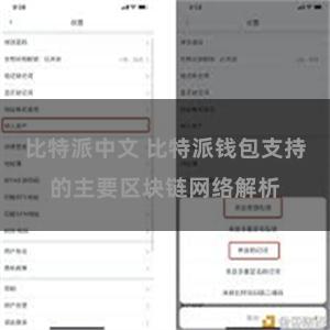 比特派中文 比特派钱包支持的主要区块链网络解析