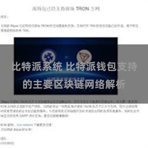 比特派系统 比特派钱包支持的主要区块链网络解析