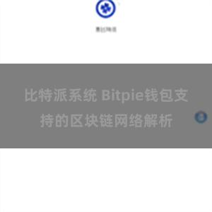 比特派系统 Bitpie钱包支持的区块链网络解析