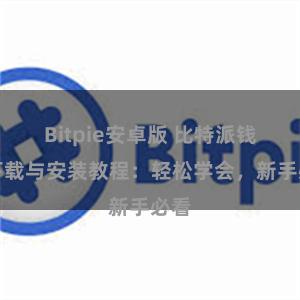 Bitpie安卓版 比特派钱包下载与安装教程：轻松学会，新手必看