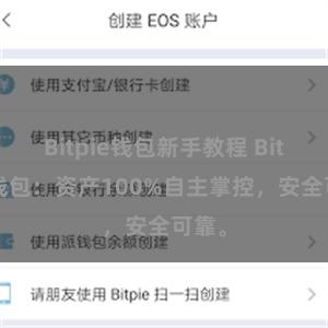 Bitpie钱包新手教程 Bitpie钱包：资产100%自主掌控，安全可靠。