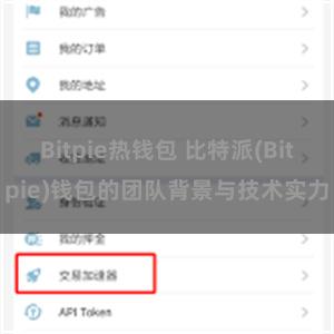 Bitpie热钱包 比特派(Bitpie)钱包的团队背景与技术实力