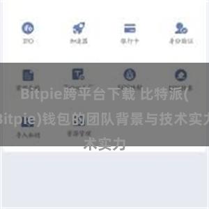 Bitpie跨平台下载 比特派(Bitpie)钱包的团队背景与技术实力