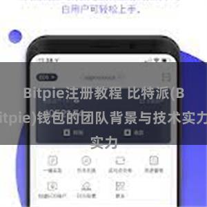 Bitpie注册教程 比特派(Bitpie)钱包的团队背景与技术实力