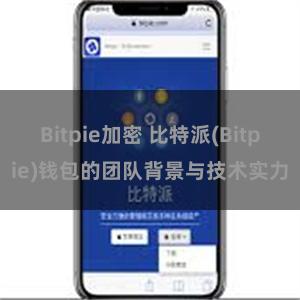 Bitpie加密 比特派(Bitpie)钱包的团队背景与技术实力