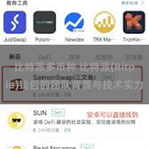 比特派多币种 比特派(Bitpie)钱包的团队背景与技术实力