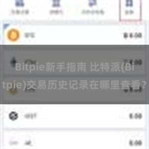 Bitpie新手指南 比特派(Bitpie)交易历史记录在哪里查看？