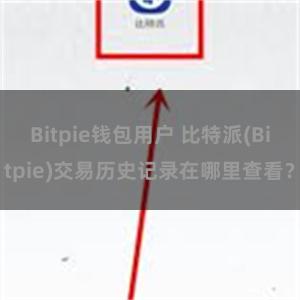 Bitpie钱包用户 比特派(Bitpie)交易历史记录在哪里查看？