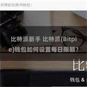 比特派新手 比特派(Bitpie)钱包如何设置每日限额？