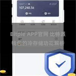 Bitpie APP官网 比特派钱包的冷存储功能解析