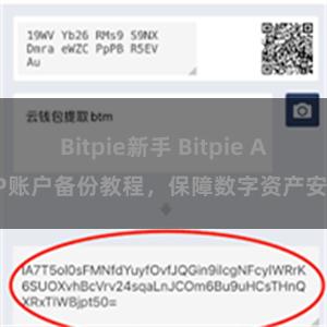 Bitpie新手 Bitpie APP账户备份教程,保障数字资产安全