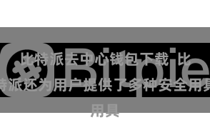 比特派去中心钱包下载  比特派还为用户提供了多种安全用具