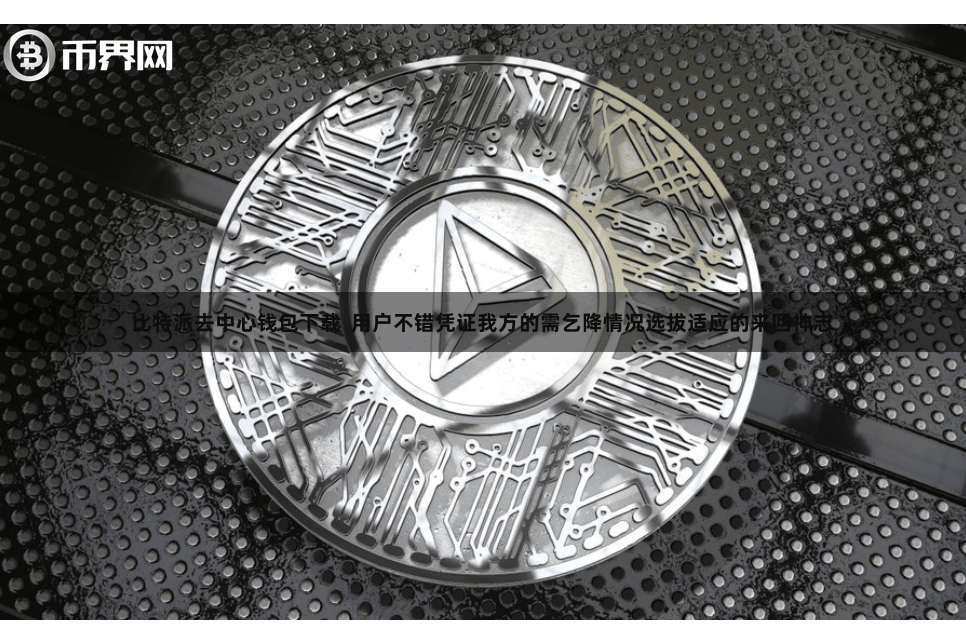 比特派去中心钱包下载  用户不错凭证我方的需乞降情况选拔适应的来回神志